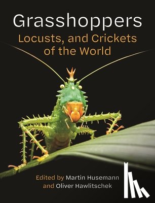 Husemann, Martin, Hawlitschek, Oliver - Grasshoppers, Locusts, and Crickets of the World