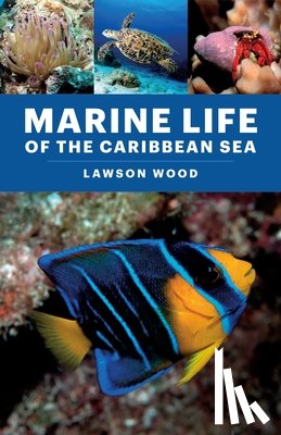 Wood, Lawson - Marine Life of the Caribbean Sea