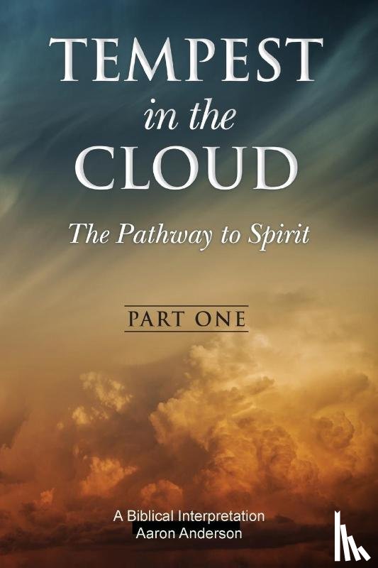 Kim B Andrews - Tempest in the Cloud