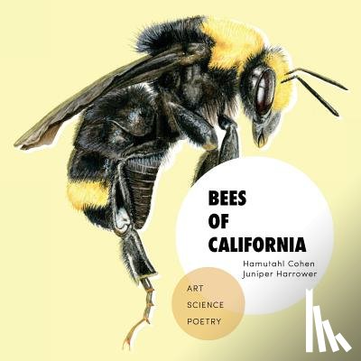  - Bees of California