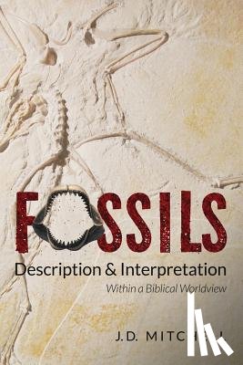 Mitchell, Jd - Fossils