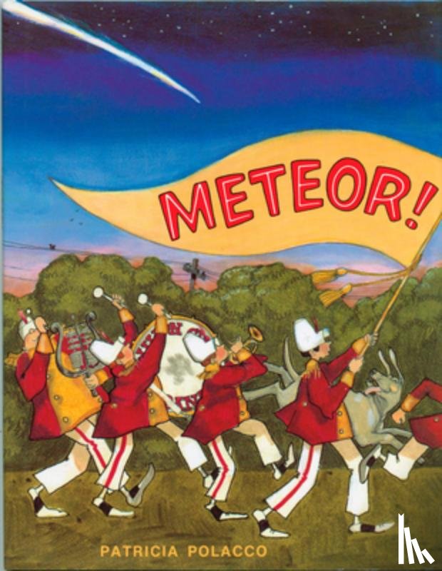 Polacco, Patricia - Meteor!
