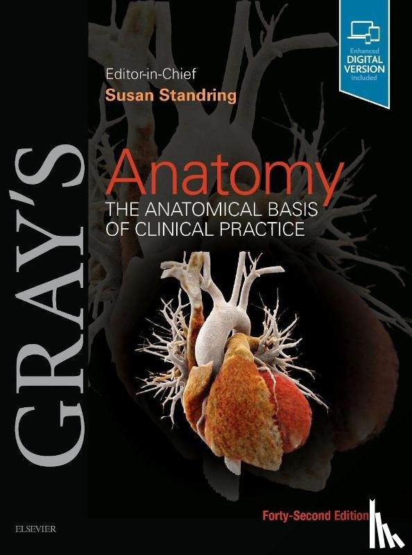  - Gray's Anatomy