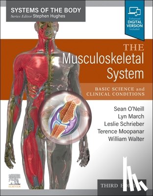  - The Musculoskeletal System