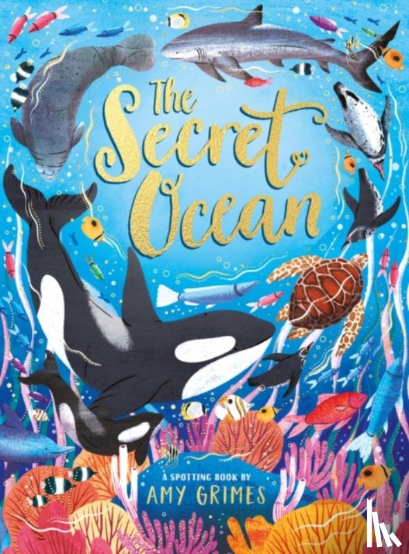 Grimes, Amy - The Secret Ocean