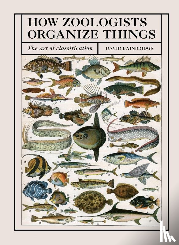 Bainbridge, David - How Zoologists Organize Things