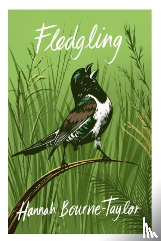 Bourne-Taylor, Hannah - Fledgling