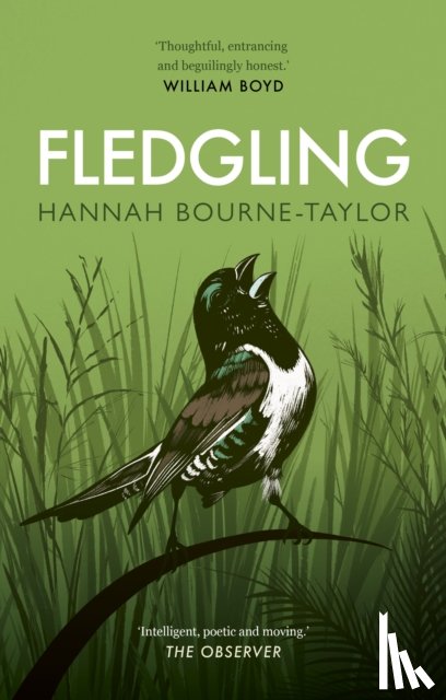Bourne-Taylor, Hannah - Fledgling