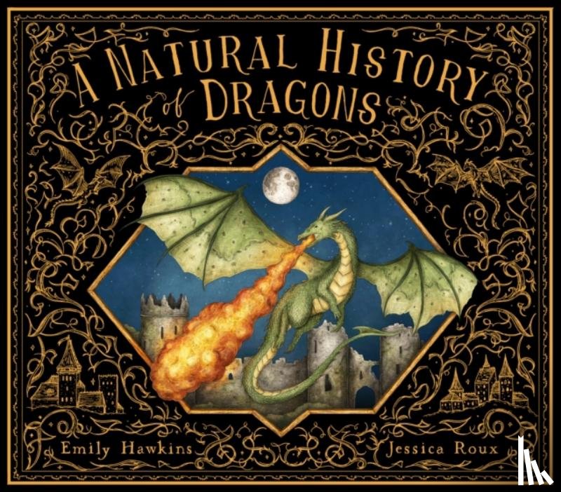 Hawkins, Emily - A Natural History of Dragons