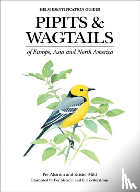 Alstrom, Per, Mild, Krister - Pipits and Wagtails of Europe, Asia and North America