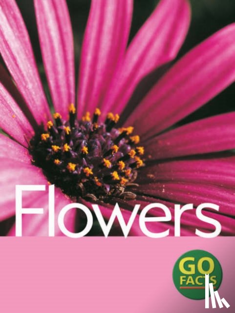 McEvoy, Paul, Pike, Katy - Flowers