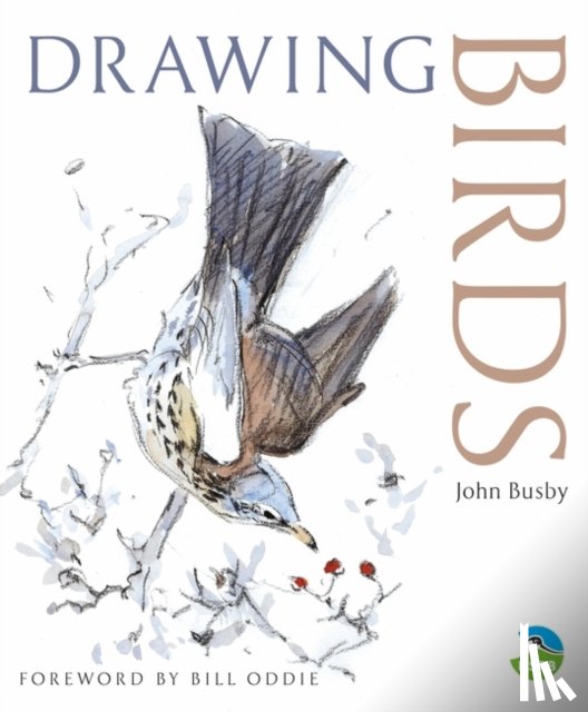 Busby, John - Drawing Birds