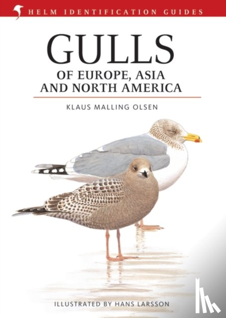 Malling Olsen, Klaus - Gulls of Europe, Asia and North America