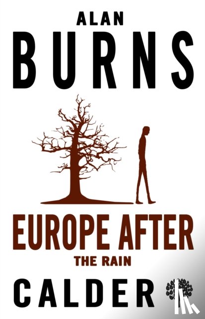 Burns, Alan - Europe after the Rain