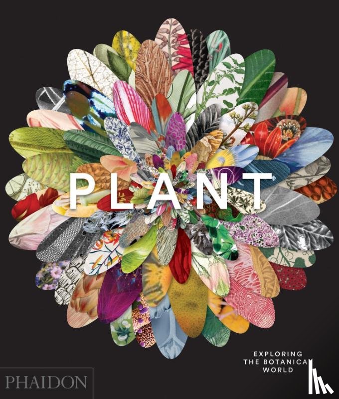 Phaidon Editors, Compton, James, Rix, Martyn - Plant - Exploring the Botanical World