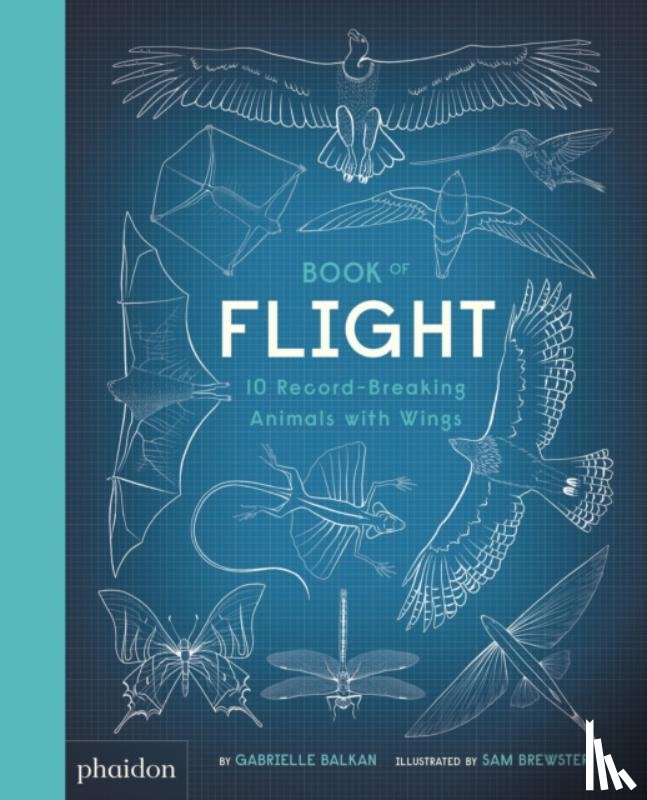 Balkan, Gabrielle, Brewster, Sam - Book of Flight
