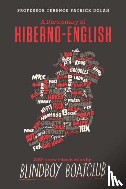 Terence Patrick Dolan - A Dictionary of Hiberno English