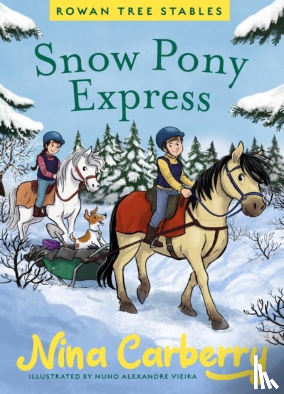 Carberry, Nina - Rowan Tree Stables 3 - Snow Pony Express