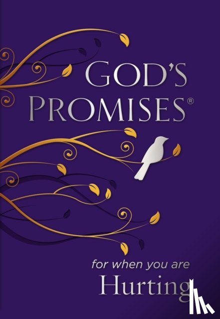 Countryman, Jack - God's Promises for When You are Hurting