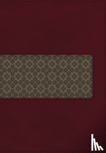 Thomas Nelson - KJV Study Bible, Large Print, Leathersoft, Maroon/Brown, Thumb Indexed, Red Letter