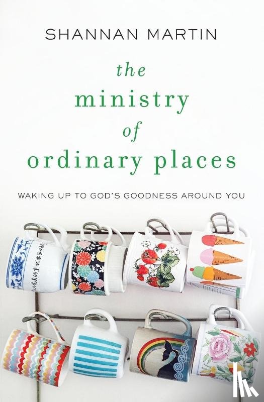 Martin, Shannan - The Ministry of Ordinary Places