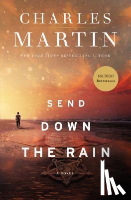Martin, Charles - Send Down the Rain