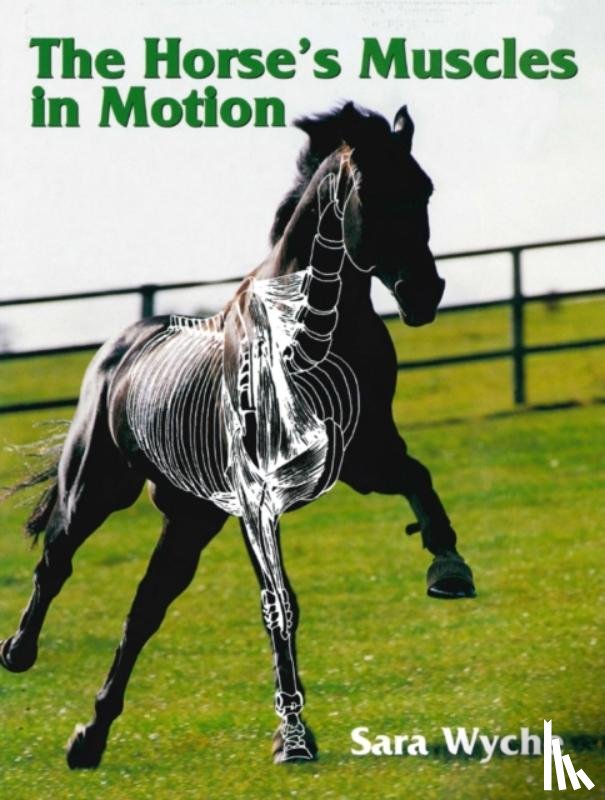 Wyche, Sara - Horse's Muscles in Motion