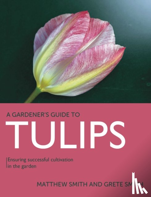 Smith, Matthew, Smith, Grete - Tulips