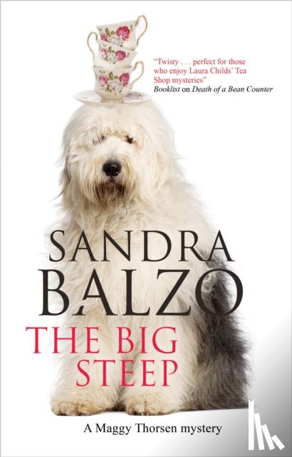 Balzo, Sandra - The Big Steep