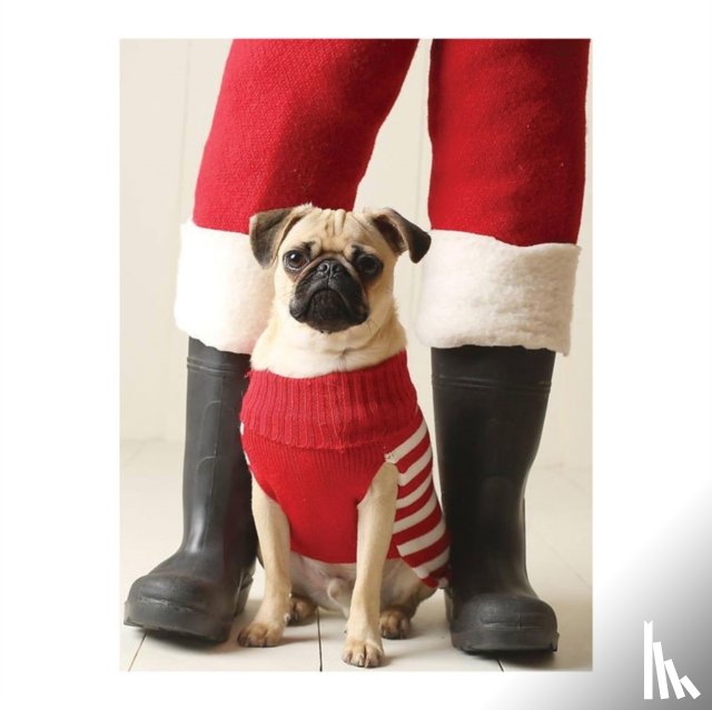 Galison - Pug Elf Notecards