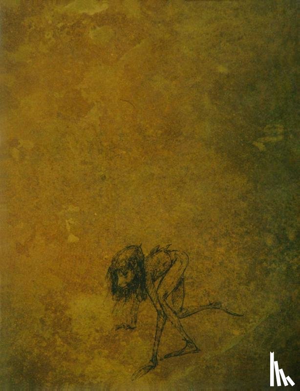 Froud, Brian - Faeries' Oracle