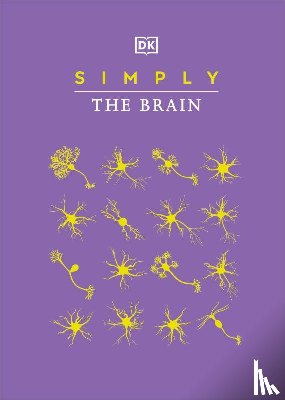 Dk - Dk: Simply the Brain