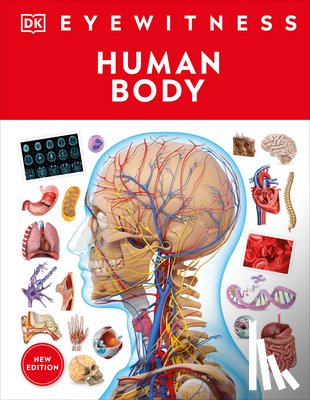 DK - HUMAN BODY