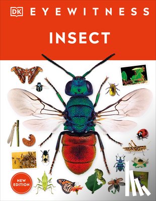 DK - Eyewitness Insect