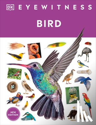 Dk - Eyewitness Bird