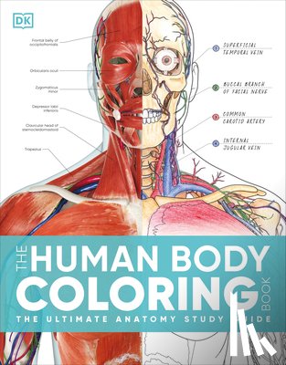 DK - The Human Body Coloring Book: The Ultimate Anatomy Study Guide, Second Edition