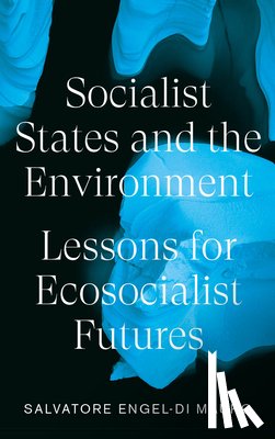 Engel-Di Mauro, Salvatore - Socialist States and the Environment