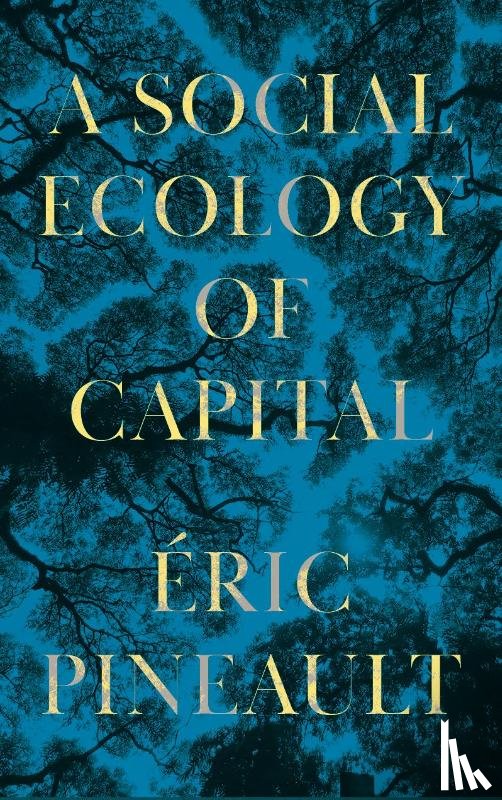 Pineault, Eric (Universite du Quebec a Montreal) - A Social Ecology of Capital