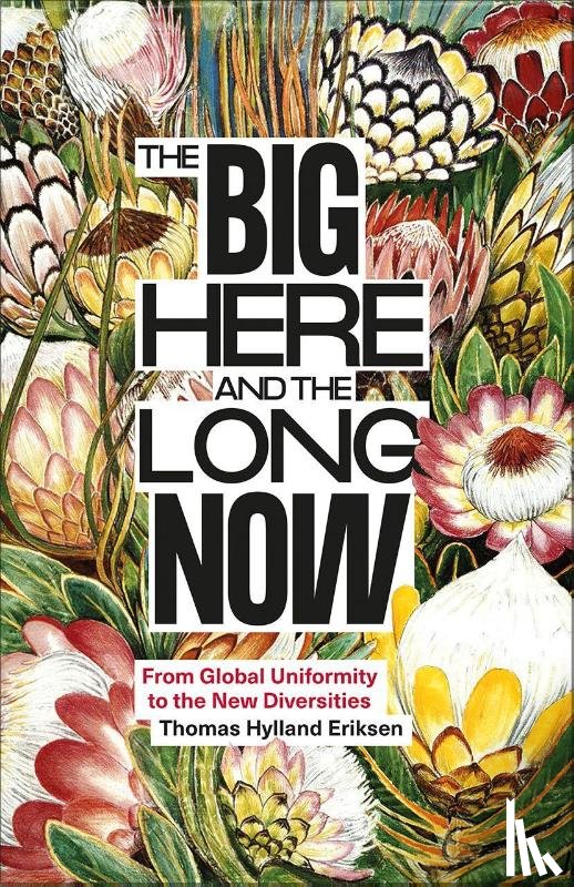Eriksen, Thomas Hylland - The Big Here and the Long Now