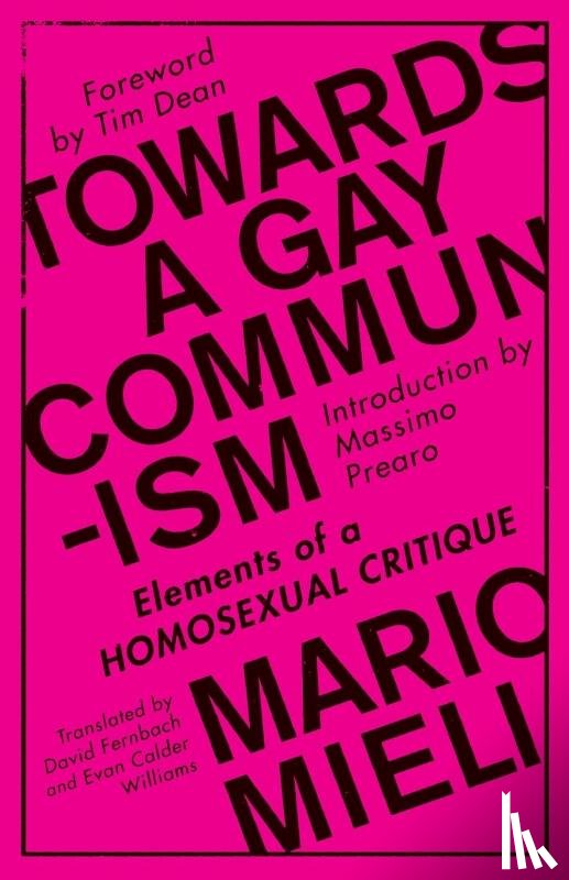 Mieli, Mario - Towards a Gay Communism