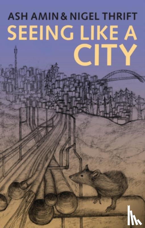Amin, Ash (University of Durham; University of Newcastle Upon Tyne), Thrift, Nigel (University of Bristol) - Seeing Like a City