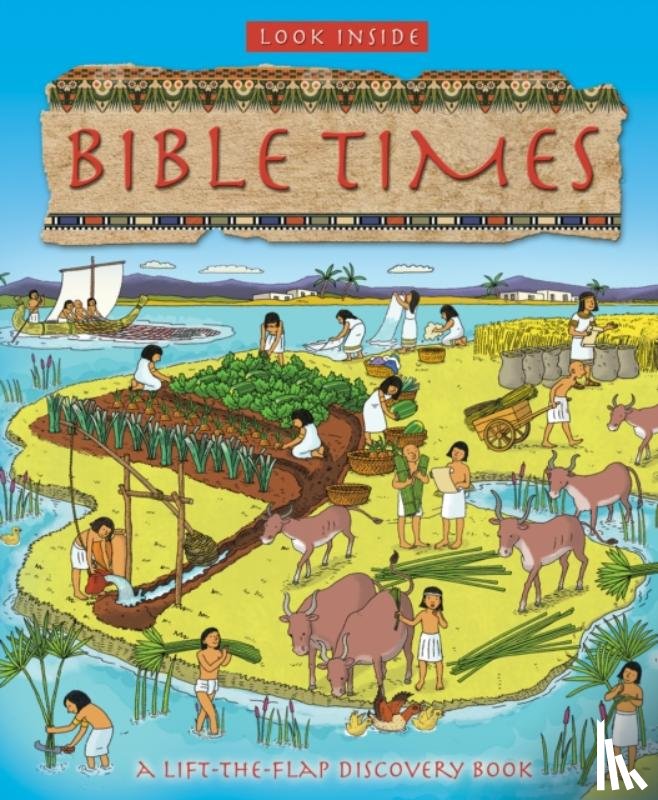 Rock, Lois - Look Inside Bible Times