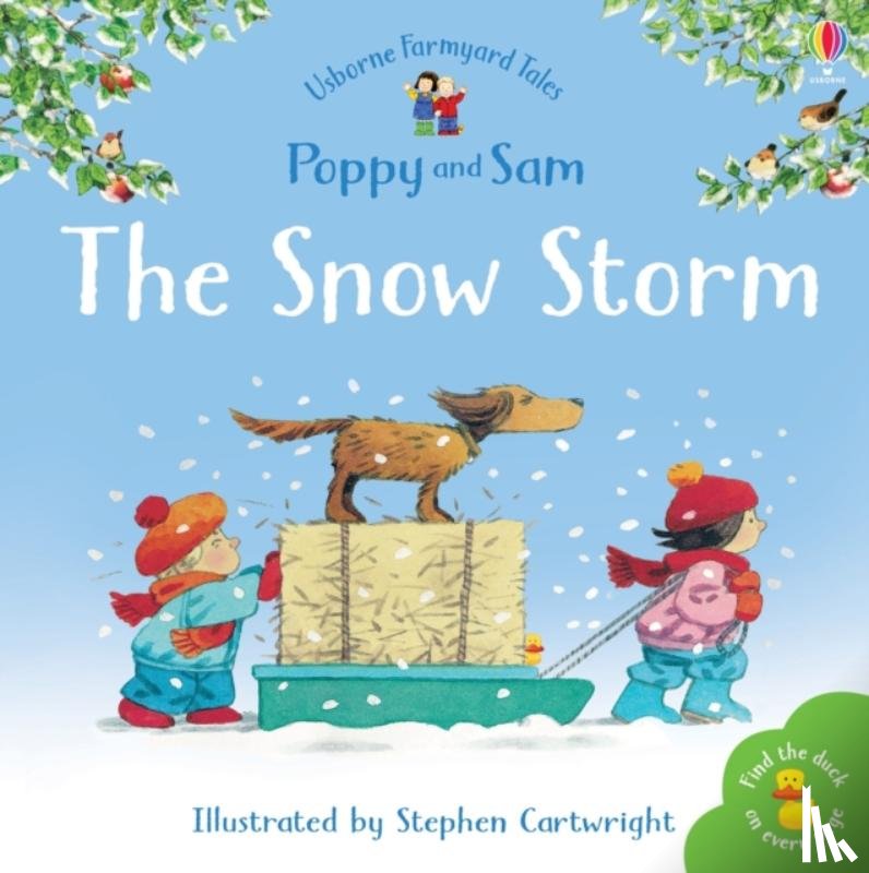 Amery, Heather - The Snow Storm