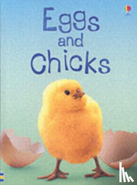 Patchett, Fiona - Eggs and Chicks