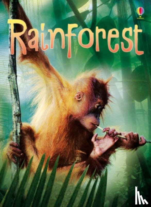 Bowman, Lucy - Rainforests