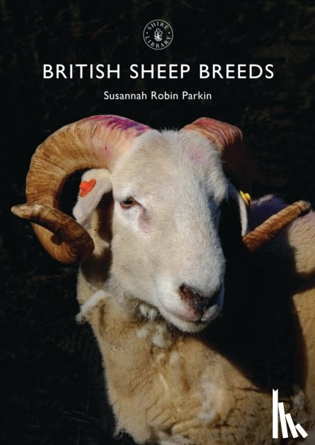Robin Parkin, Susannah - British Sheep Breeds