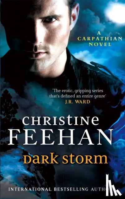 Feehan, Christine - Dark Storm
