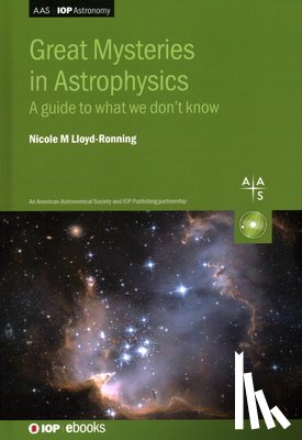 Lloyd-Ronning, Nicole (University of New Mexico - Great Mysteries in Astrophysics