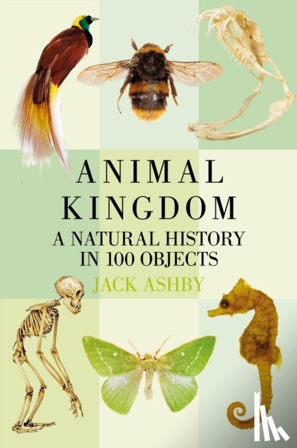 Ashby, Jack - Animal Kingdom