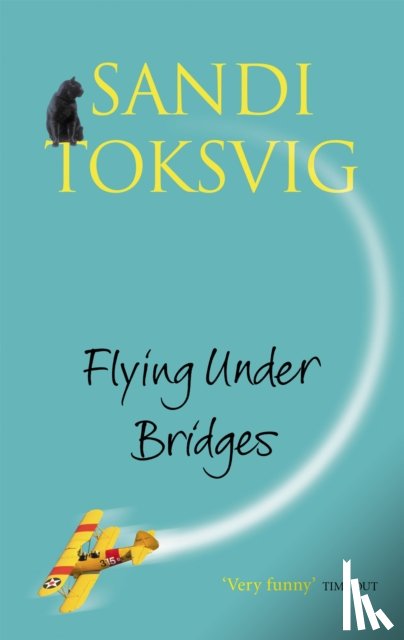 Toksvig, Sandi - Flying Under Bridges